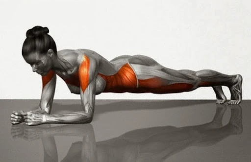 exercícios para perder barriga